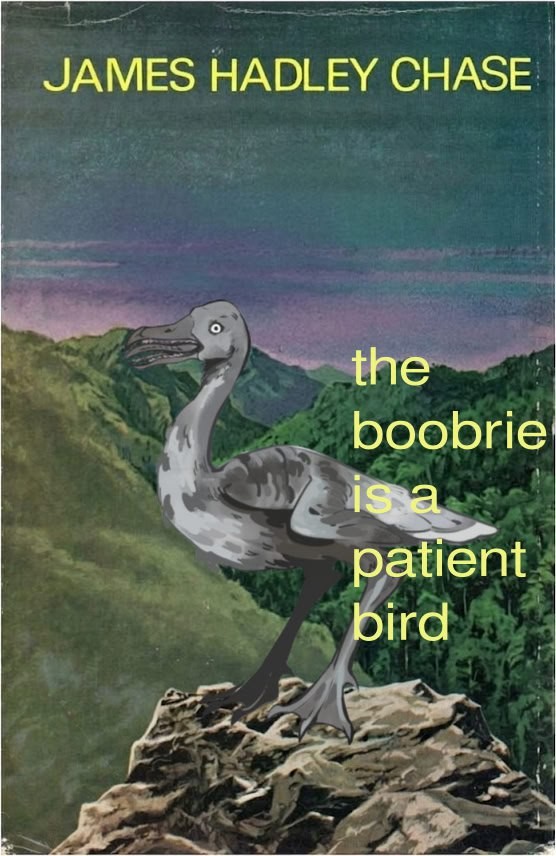 Patient Bird